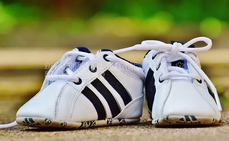 意昂3入口登录小米2024时尚先锋：爆款包包、鞋履、女
装、童装抢先看