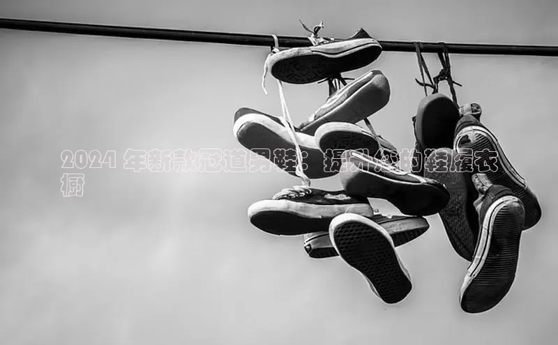 意昂3登陆入口度小满理财2024 年新款冠道男鞋：提升您的鞋履衣
橱