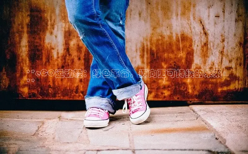 意昂3入口登录百度人工翻译**eCO运动鞋：绿色革命，迈向更可持续的未来
**