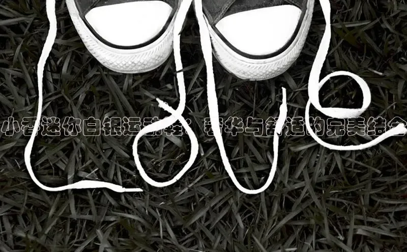 意昂3手机登录官方网站滴滴出行小香迷你白银运动鞋：奢华与舒适的完美结合